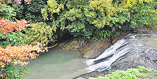 砥部衝上断層公園の画像