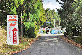 image:Hino Tourist Apple Orchard