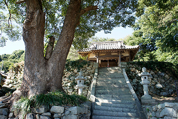 濱宮神社（はまのみやじんじゃ）の画像