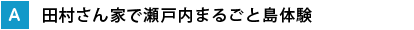 田村さん家で瀬戸内まるごと島体験