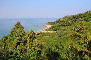 image:Drive over the mountains Awai prefectural road