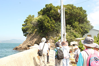 image:Juniper habitat