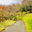 花と緑あふれる自然を散策するの画像3