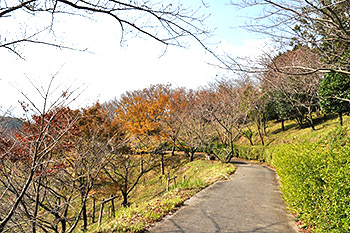 塩ヶ森(しおがもり)ふるさと公園