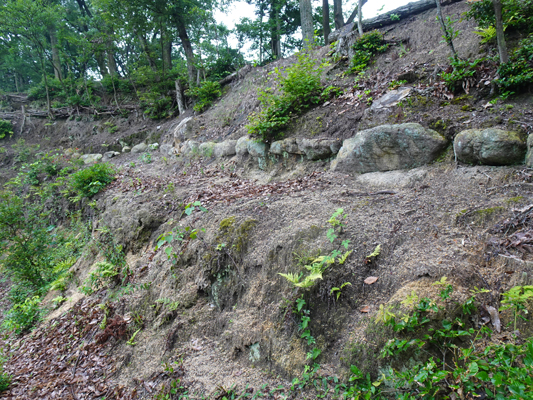 永納山城跡の画像2