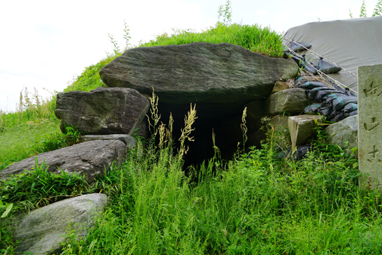 宇摩向山古墳の画像2
