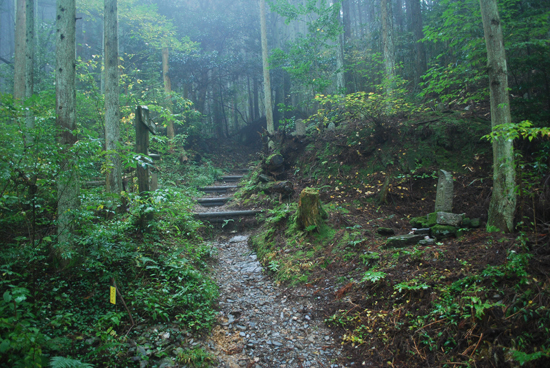 伊予遍路道（横峰寺道）の画像1