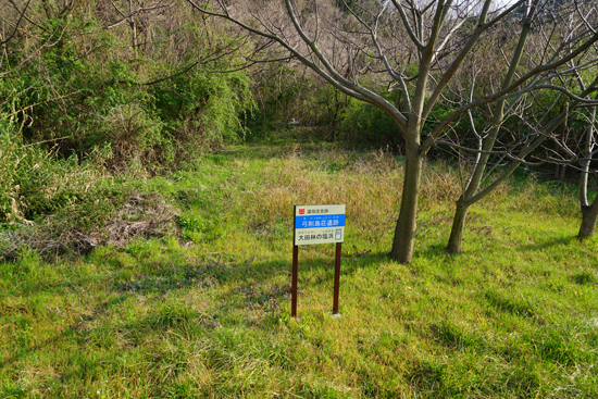 弓削島荘遺跡の画像1