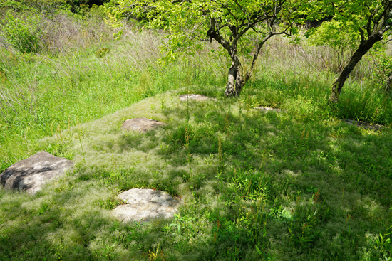 伊予国分尼寺塔跡の画像2