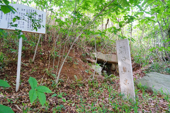 朝日山古墳の画像2