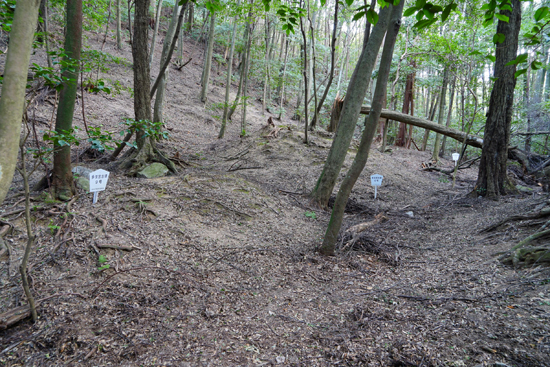 多伎神社古墳群の画像1