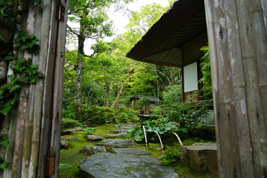 臥龍山荘庭園の画像1