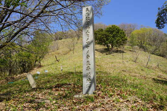 エヒメアヤメ自生南限地帯の画像4