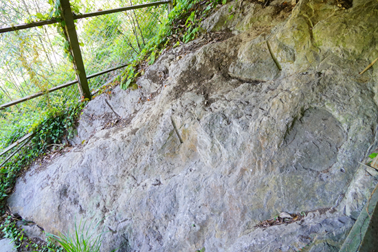 田穂の石灰岩の画像