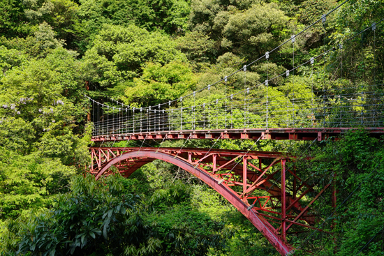 遠登志橋の画像