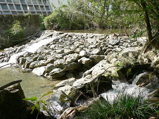 論田の西井出堰の画像2