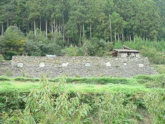 上田家石垣の画像1