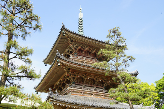 興願寺三重塔の画像3