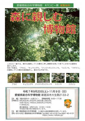 森に親しむ博物館チラシ