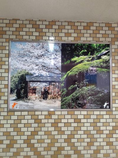 尾首の池(内子町)、玉簾滝(四国中央市)