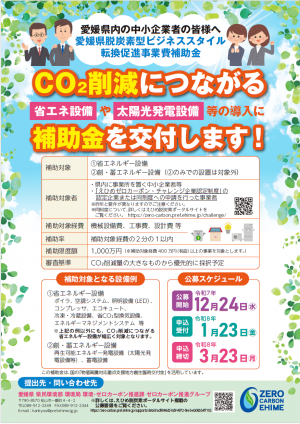 脱炭素型ビジネススタイル転換促進事業費補助金チラシ